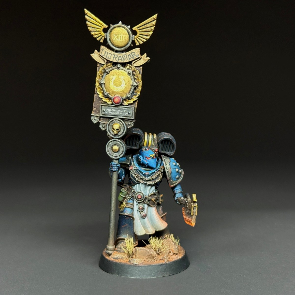 Herald: Aurelia Pulchra