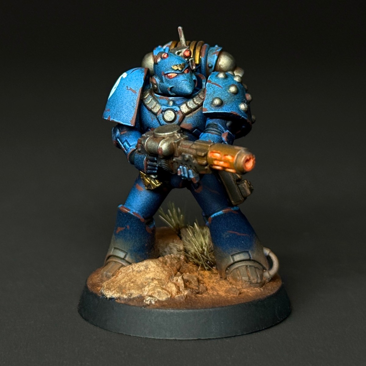 Tactical Support Squad&nbsp;Caeloria